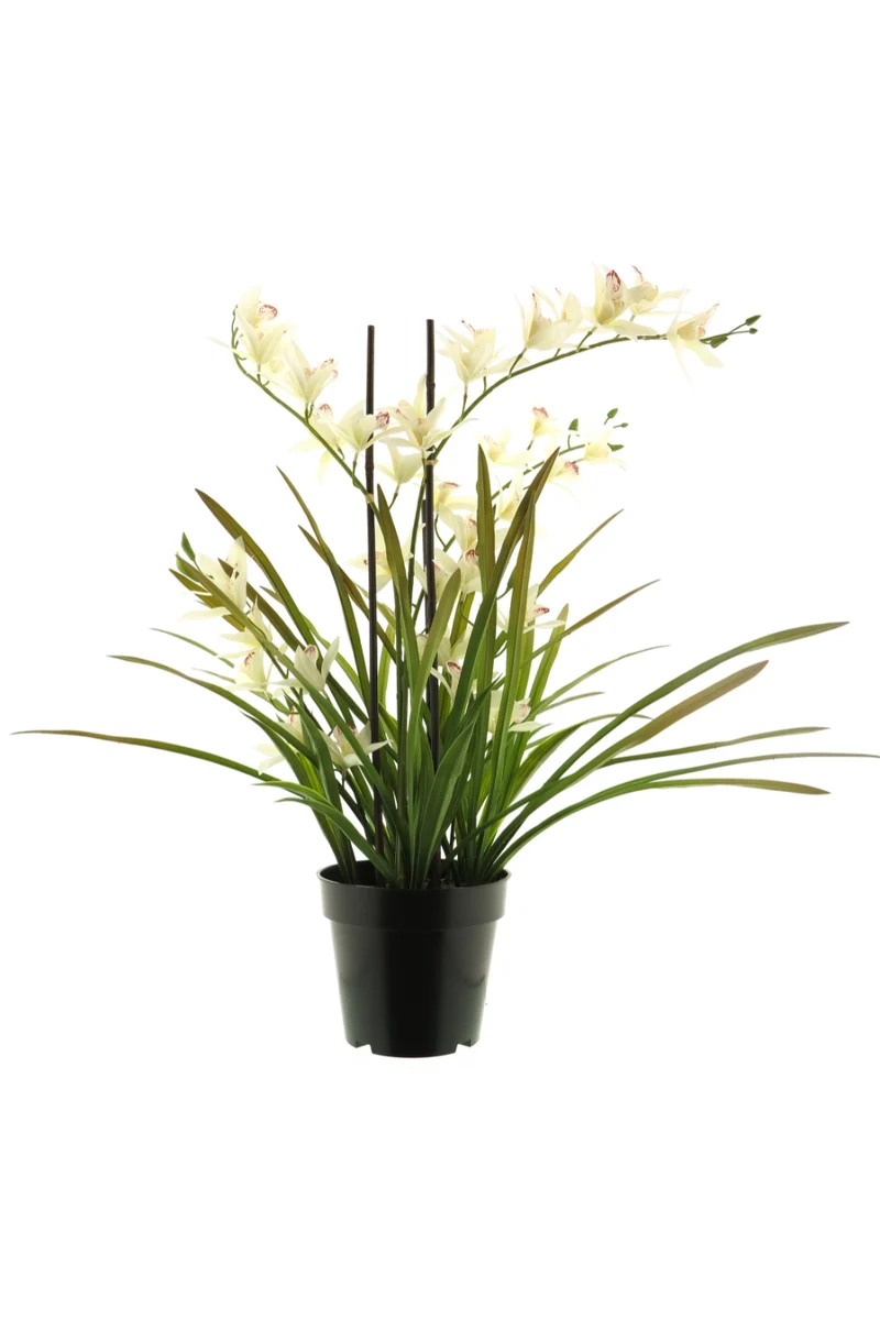 Künstliche Meadow Orchidee Creme Weiß 70 cm