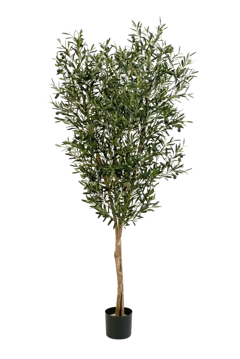 Künstliche Olivenbaum - Ilona | 180 cm