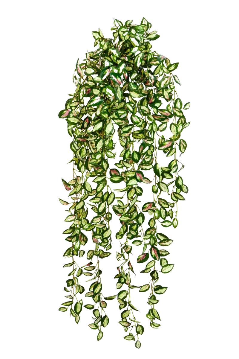 Künstliche Hänge-Hoya - Florentine | 85 cm