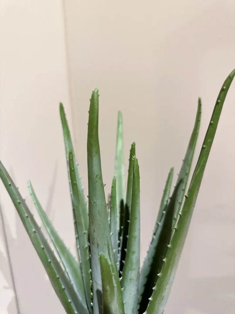 Künstliche Aloe - Penelope | 35 cm