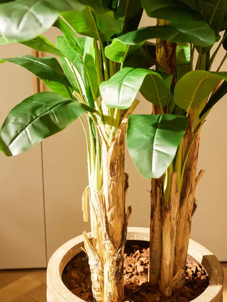 Künstlicher Bananenbaum – Maliora | 140 cm