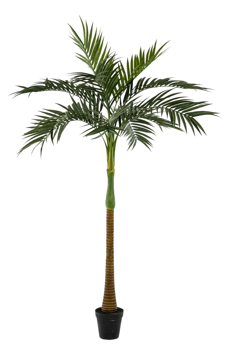 Künstliche Palme - Zasta | 245 cm
