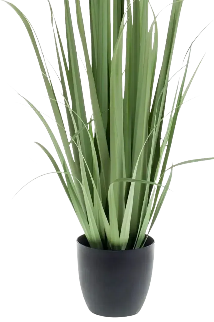 Künstliches Yucca Gras - Iva | 120 cm