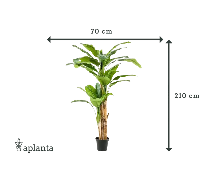 Künstlicher Bananenbaum – Maliora | 210 cm