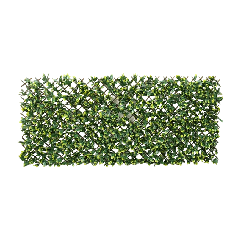 Flexible Prunus Pflanzenwand - Malte | 130-200 cm