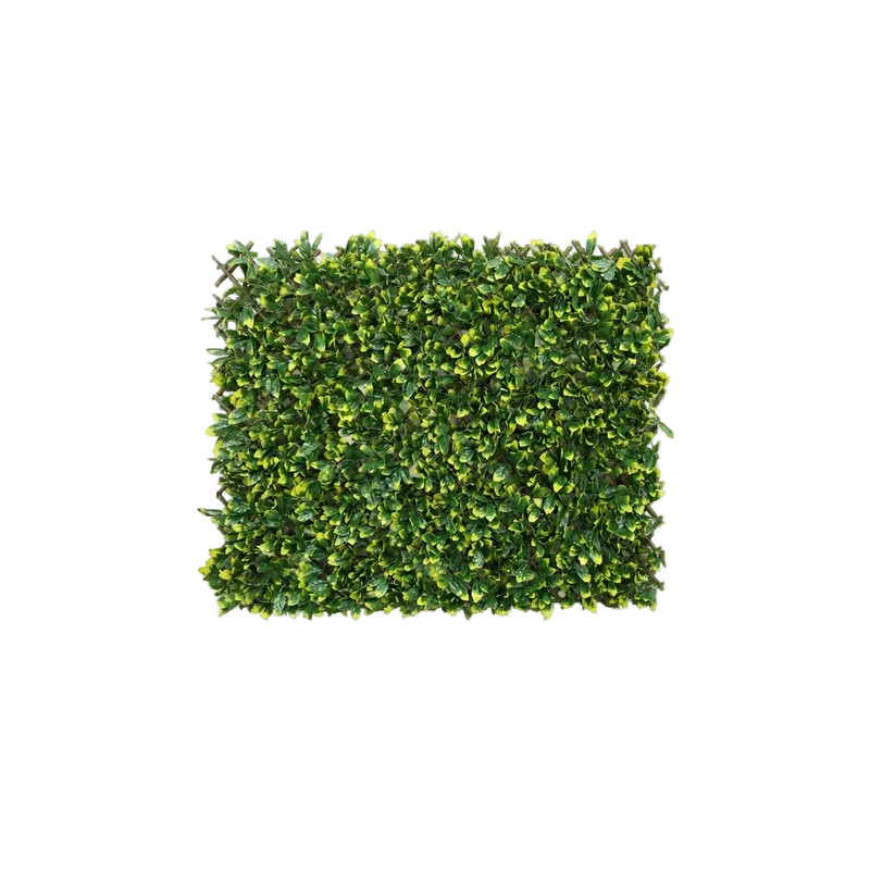 Flexible Prunus Pflanzenwand - Malte | 130-200 cm