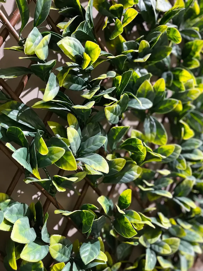 Flexible Prunus Pflanzenwand - Malte | 130-200 cm
