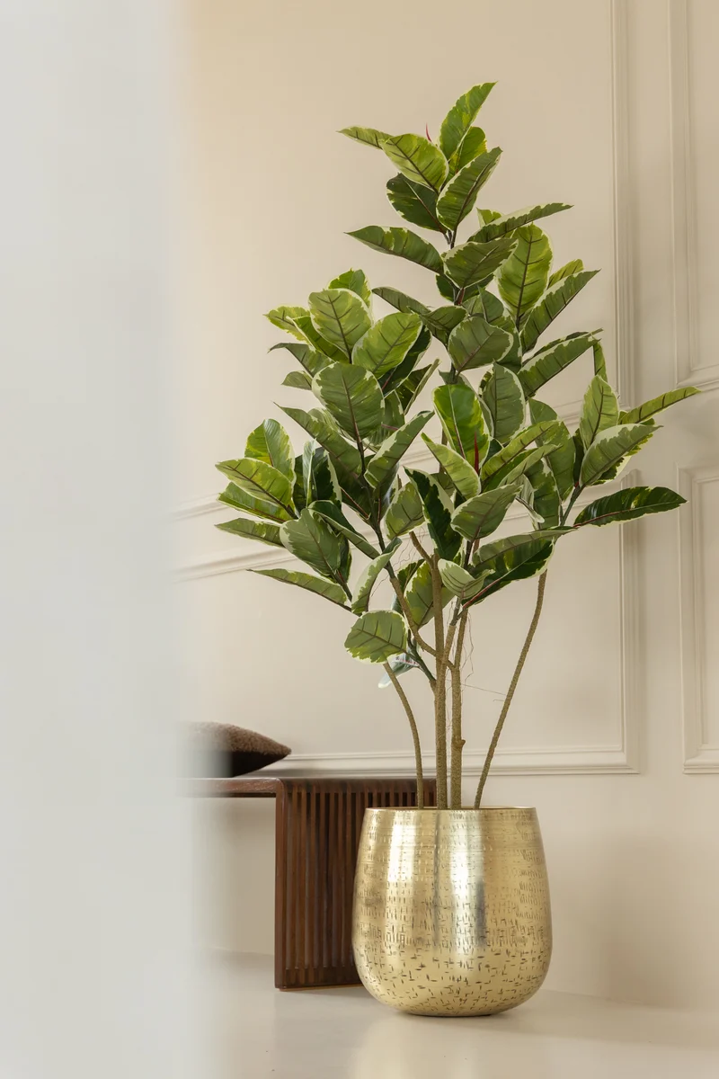 Ficus Kunstpflanze 120cm