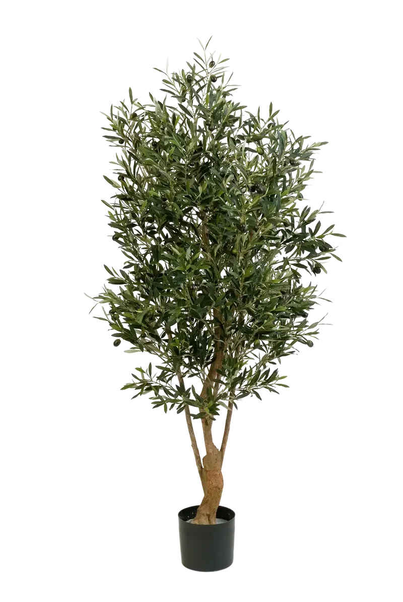 Künstlicher Olivenbaum - Ian | 150 cm