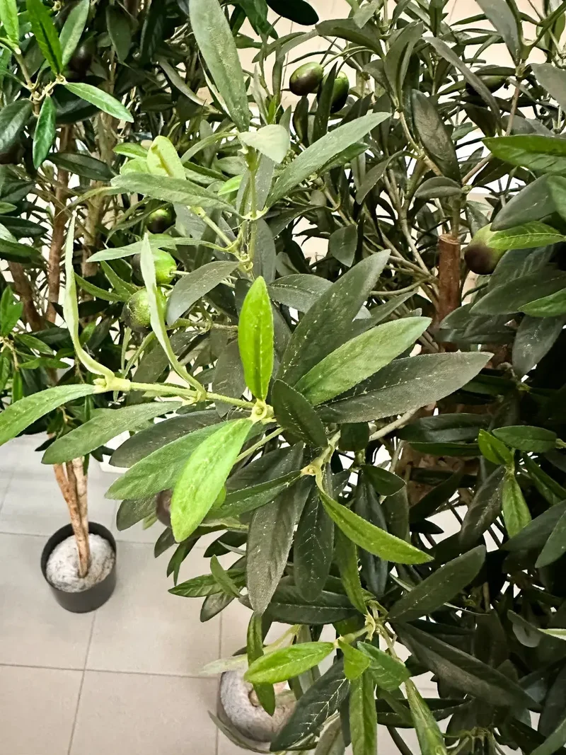 Künstlicher Olivenbaum - Ian | 150 cm
