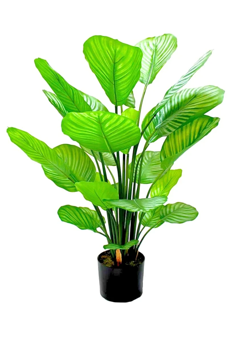 Calathea Kunstpflanze 80cm