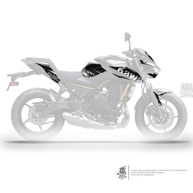 KIT DÉCO KAWASAKI Z650 GRUNGE - W
