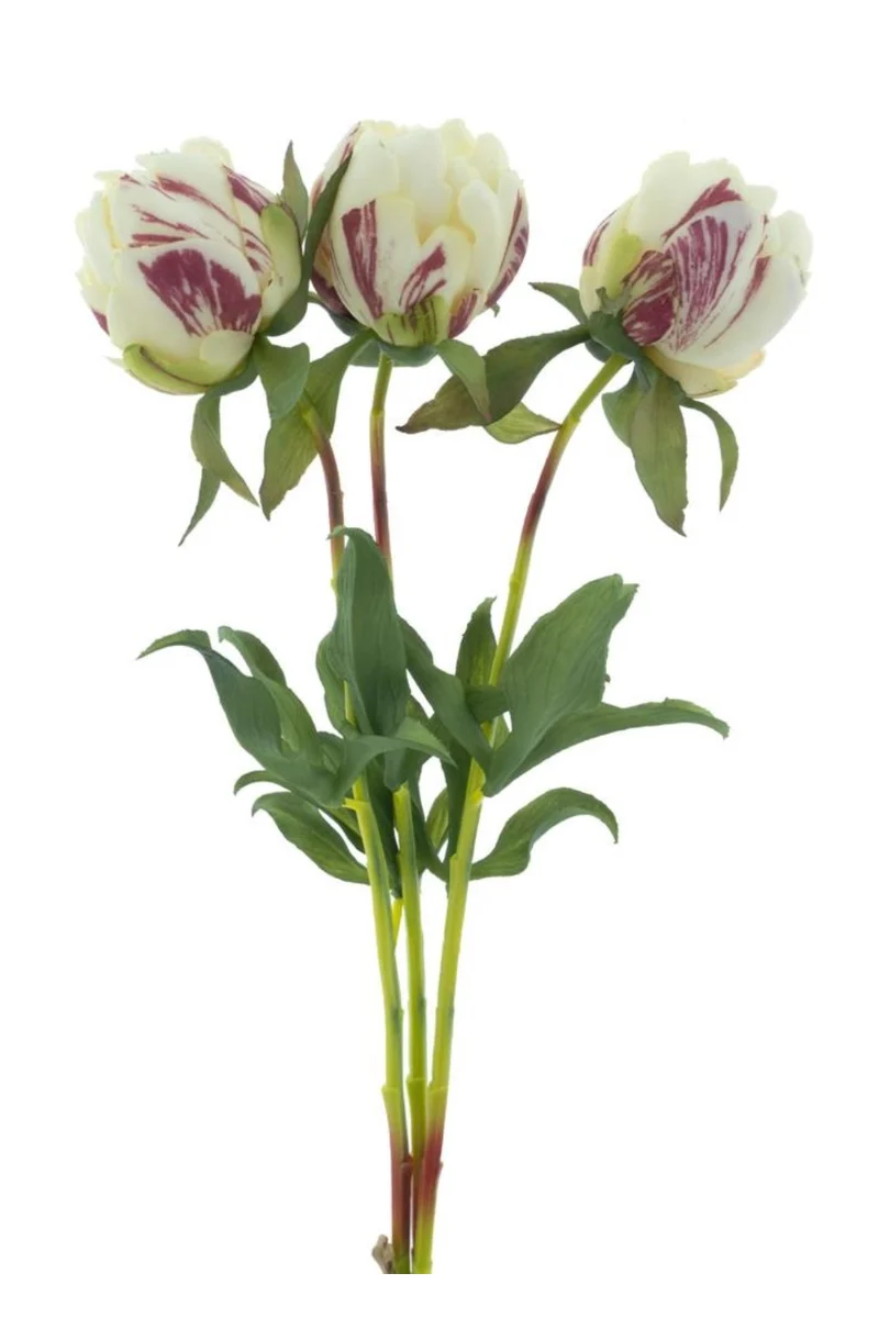 Pfingstrosen-Bündel 3 Stk. Creme 48cm