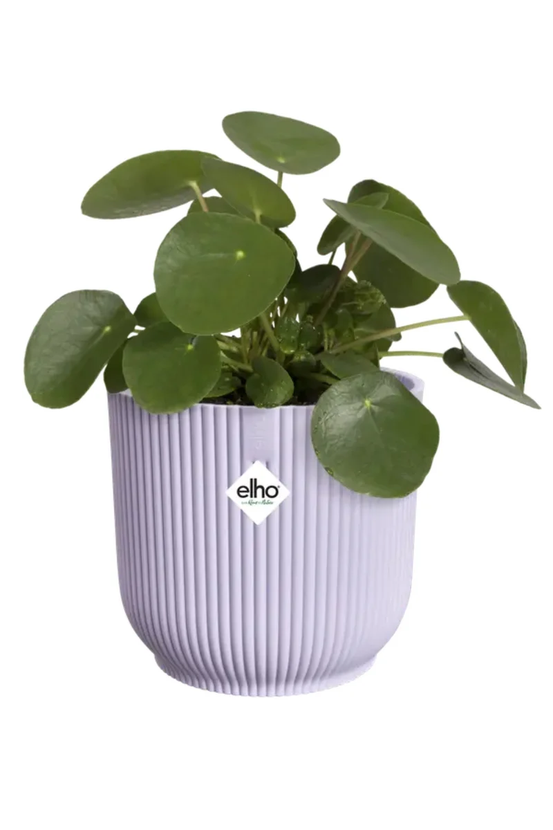 Blumentopf Elho Vibes Fold Rund 16cm Zartlila