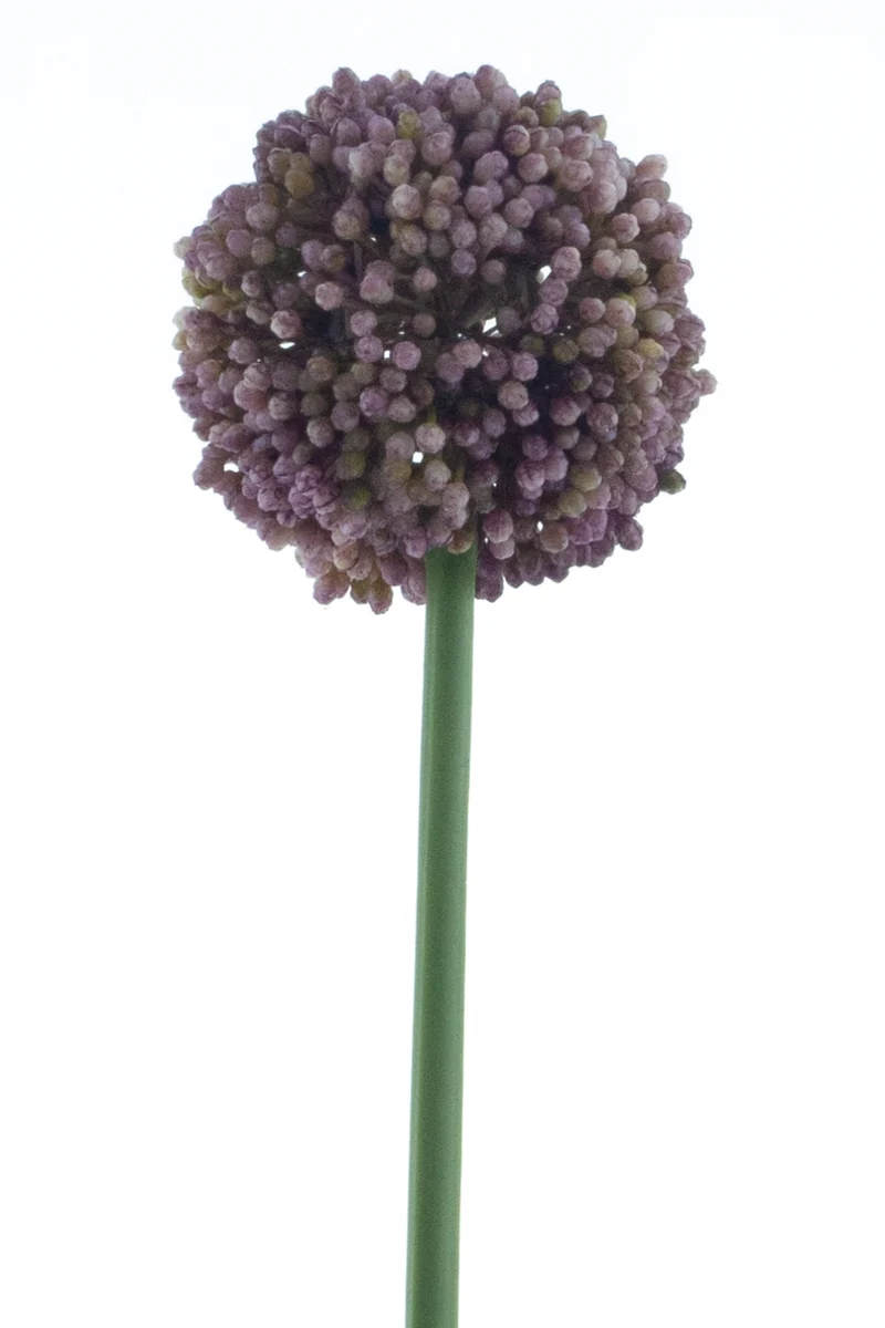 Allium Kunstblume 66 cm Lila