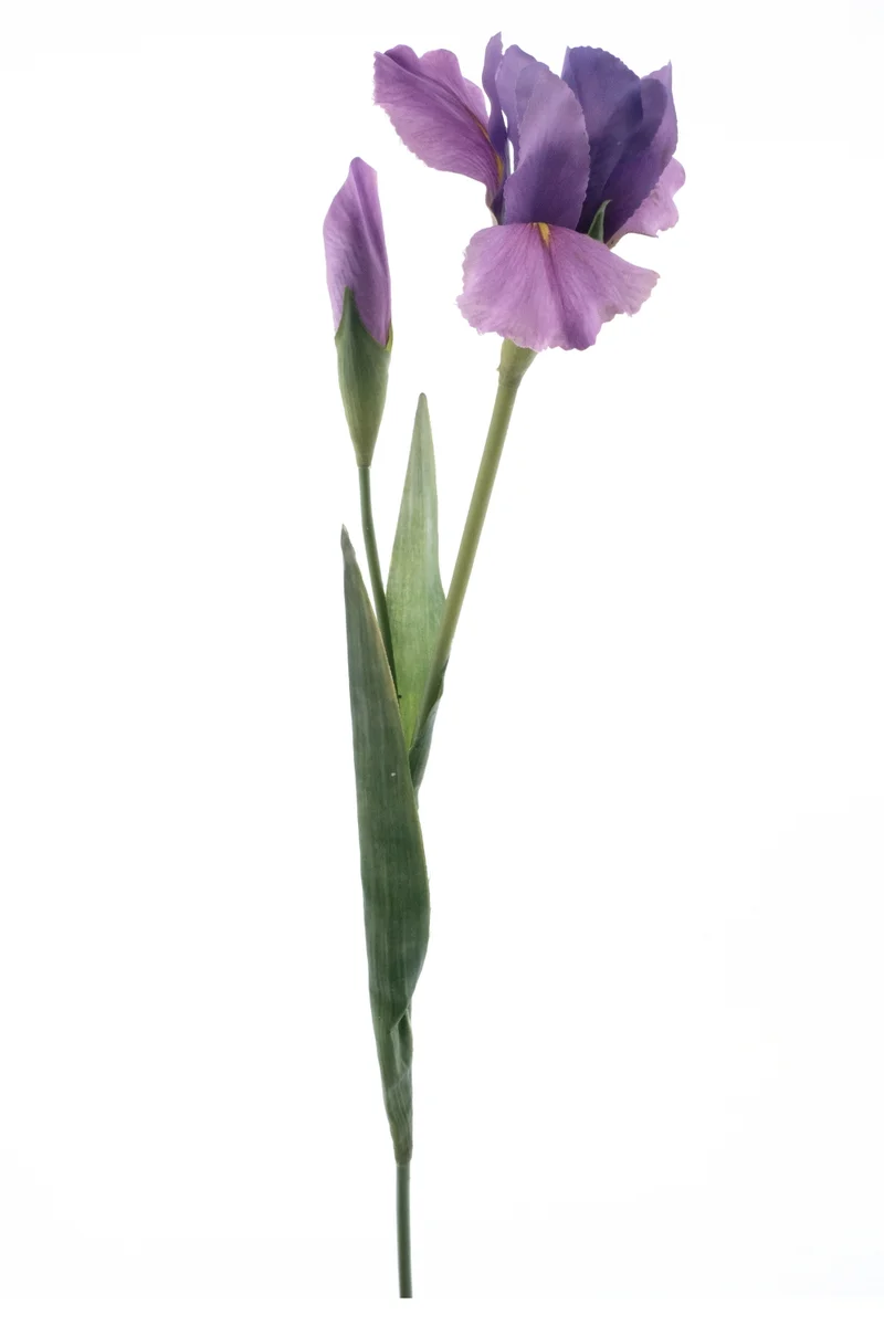 Iris Kunstblume 74 cm Lila