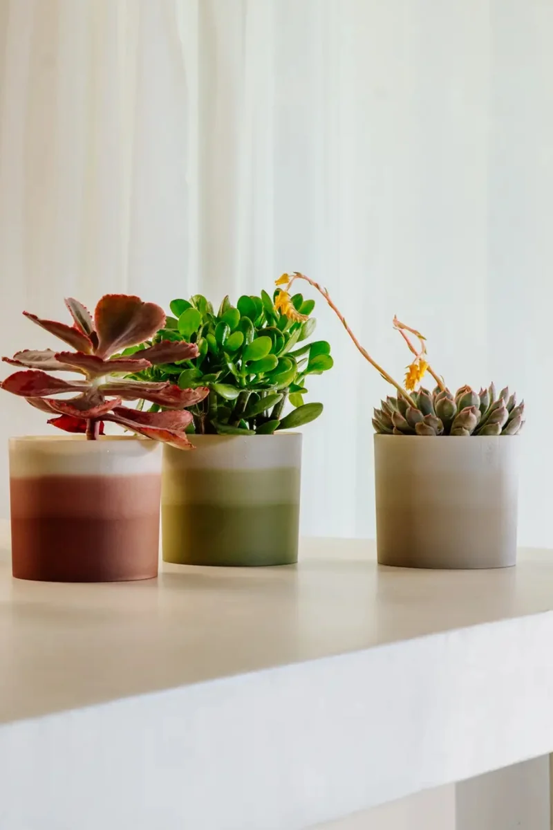 Blumentopf Elho Colour Gradient Rund 14 cm Bambusgrün