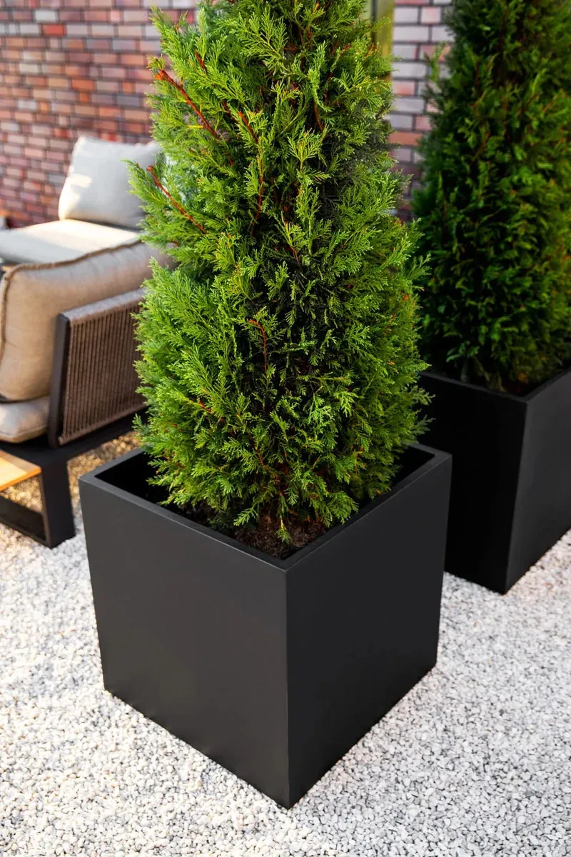 Pflanztopf Arven schwarz | 50x50