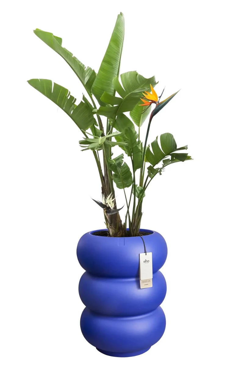 Blumentopf Elho Amber Roll High 58 cm Royalblau