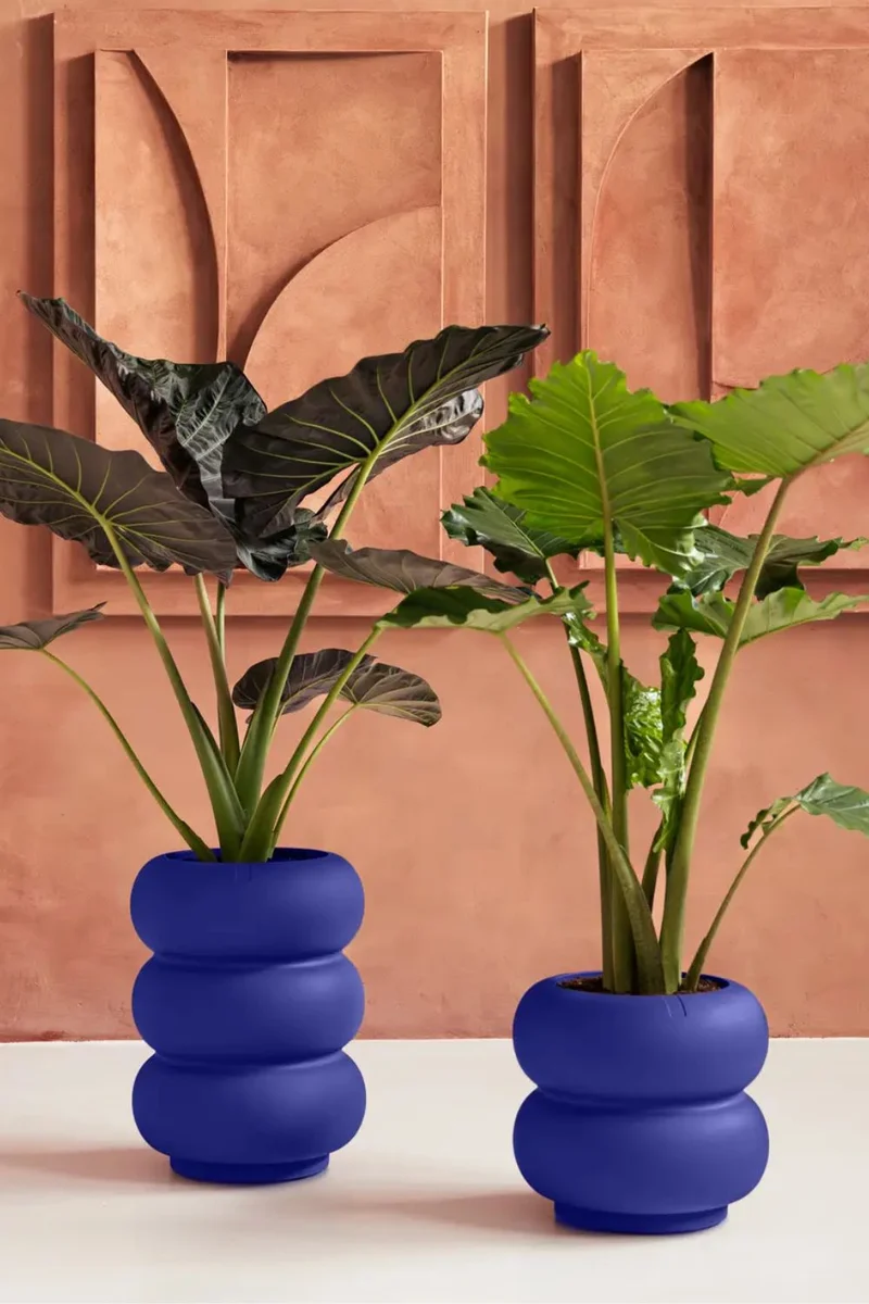 Bloempot Elho Amber roll low 40cm Royal Blue