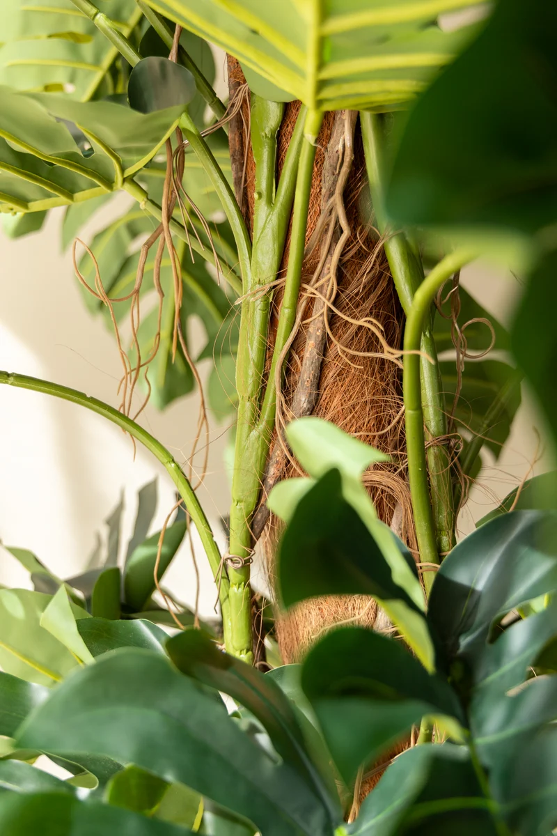 Monstera Kunstpflanze 180cm