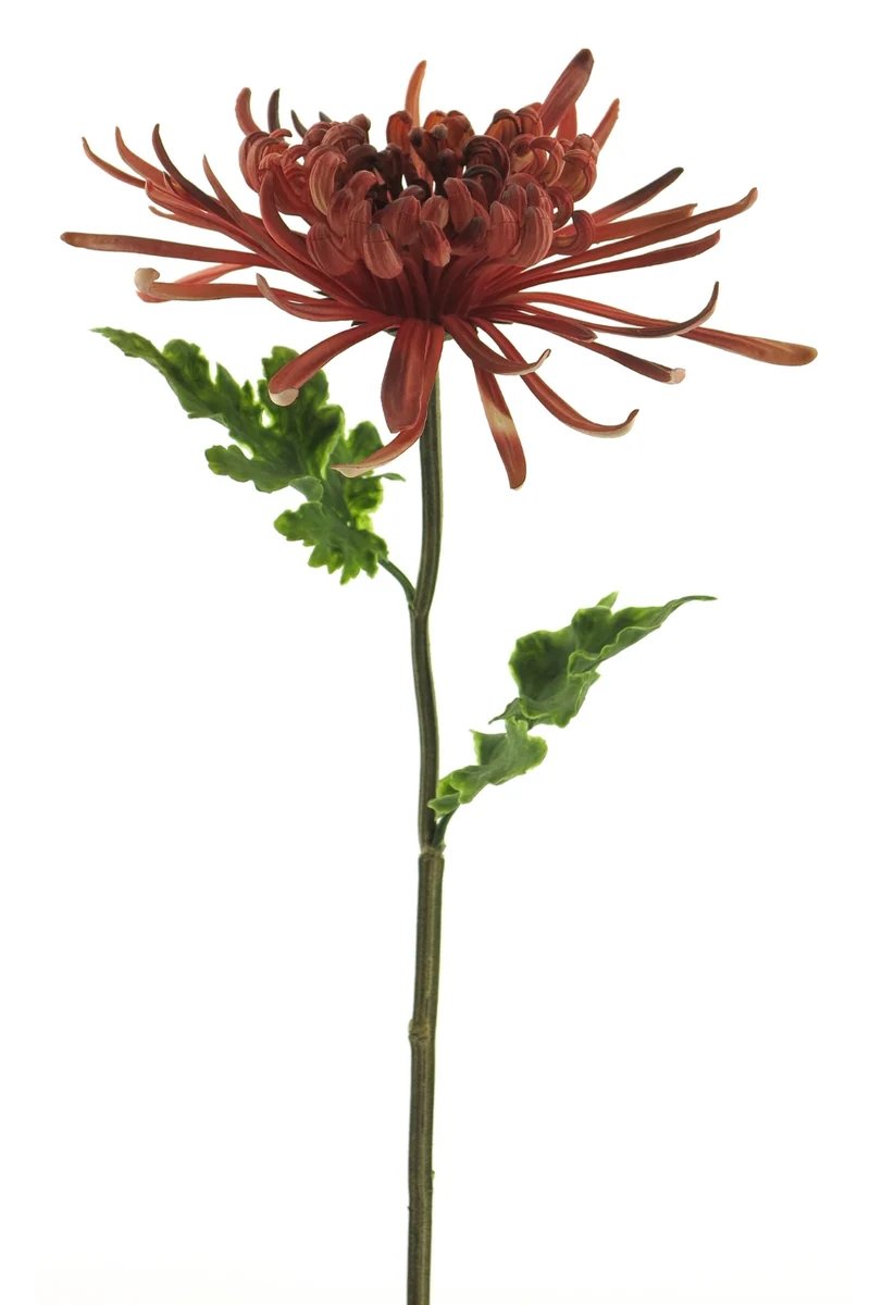 Chrysantheme Monaco Kunstblume 68 cm Burgundy