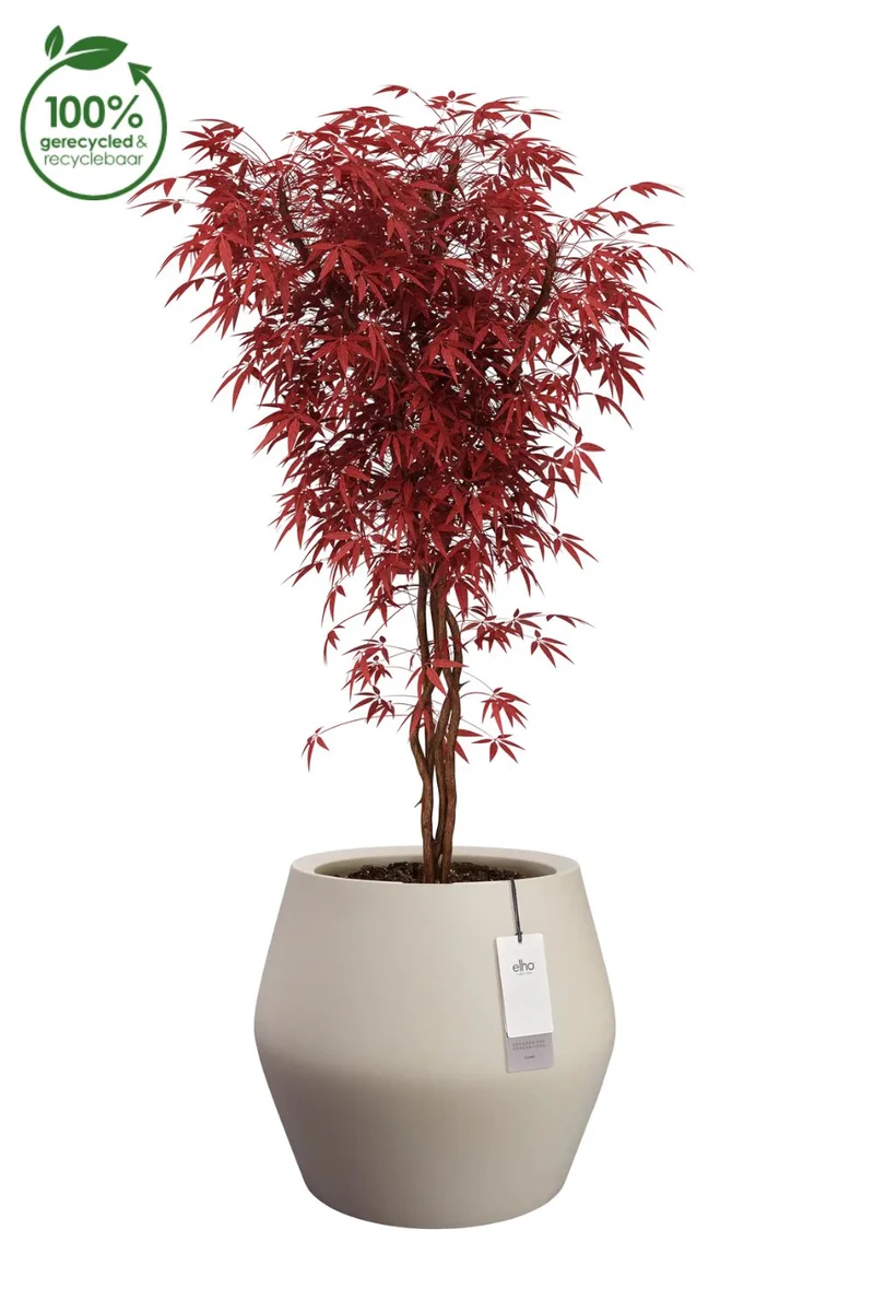 Blumentopf Elho June Split Low 42 cm Balanced Beige