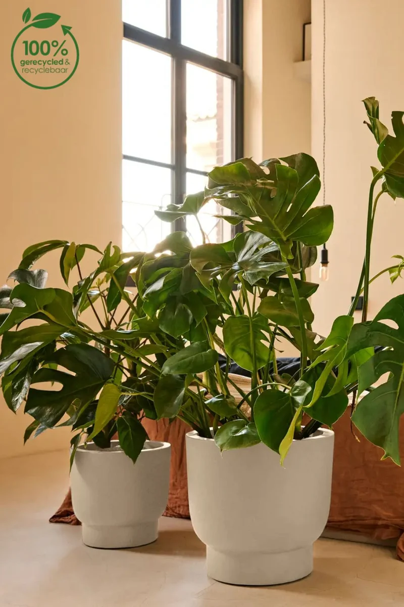 Blumentopf Elho Amber Grail 38 cm Leinen Weiß