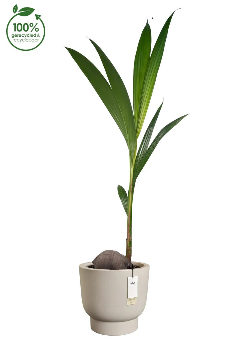 Blumentopf Elho Amber Grail 30 cm Balanced Beige