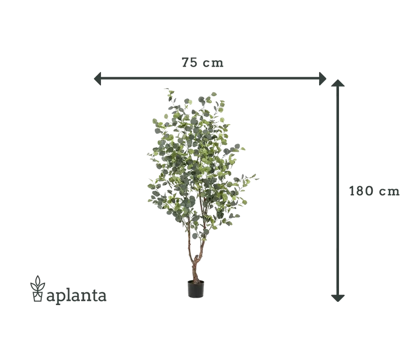 Künstlicher Eucalyptus Baum - Christopher | 180 cm