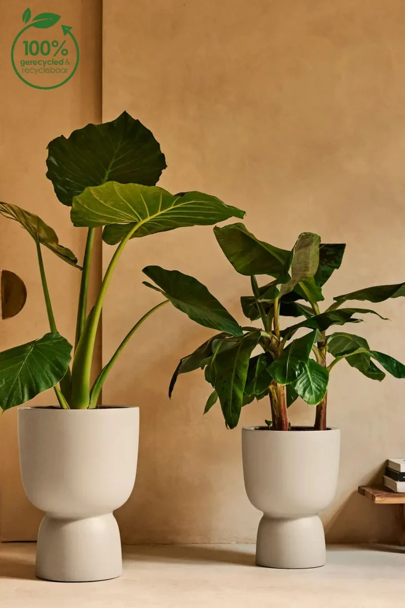 Blumentopf Elho Amber Coupe 35 cm Leinen Weiß
