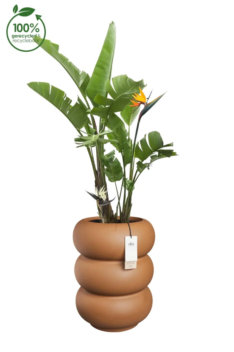 Blumentopf Elho Amber Roll High 58 cm Karamell