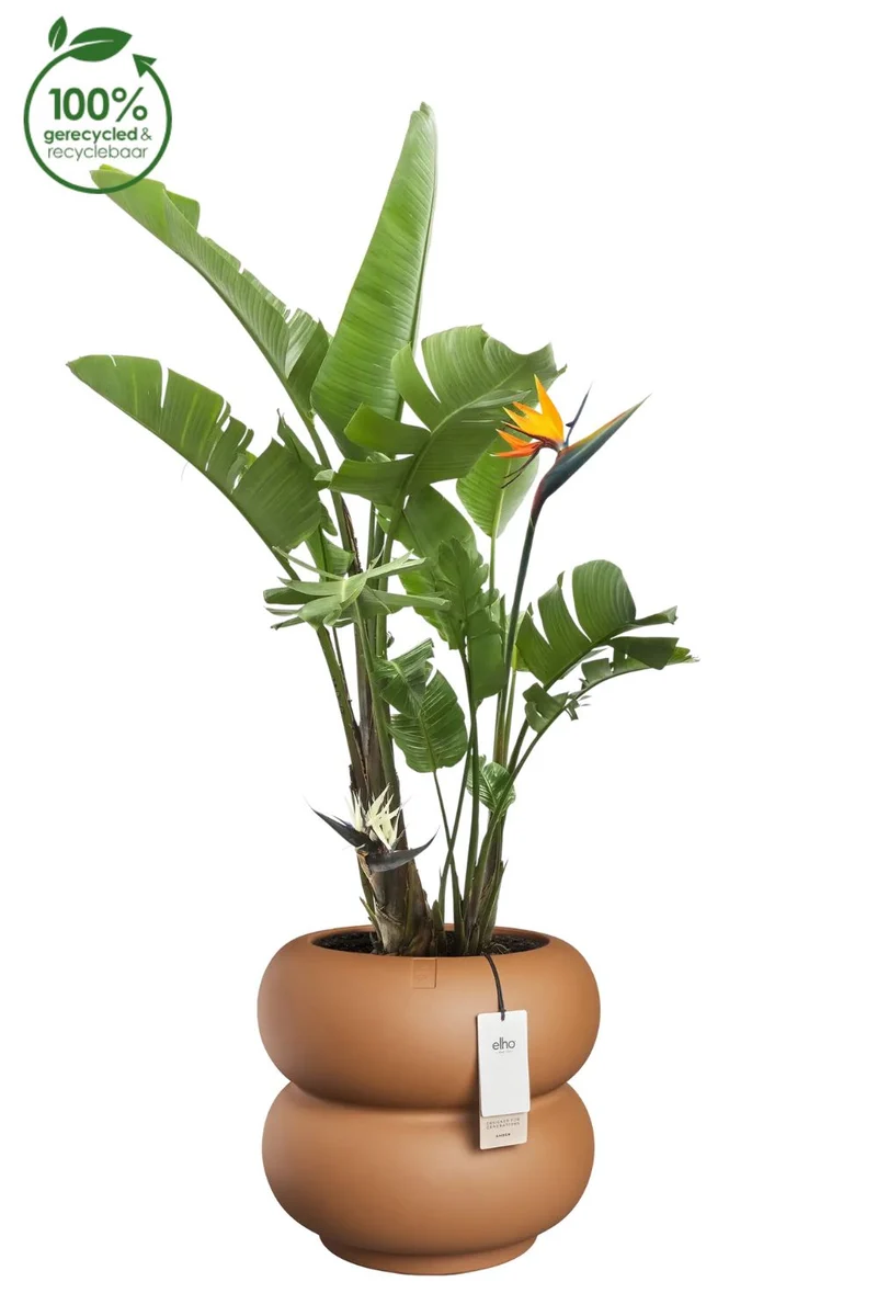 Blumentopf Elho Amber Roll Low 40 cm Karamell