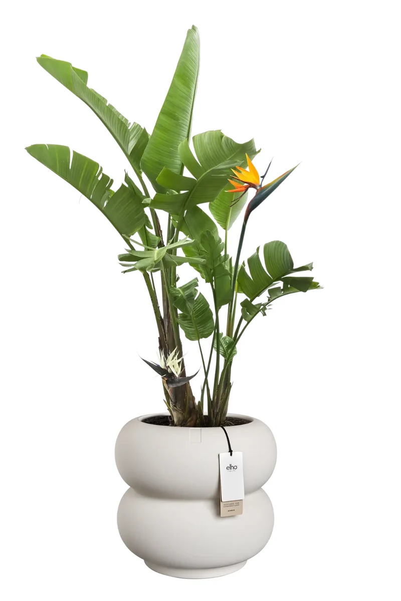 Blumentopf Elho Amber Roll Low 40 cm Leinenweiß