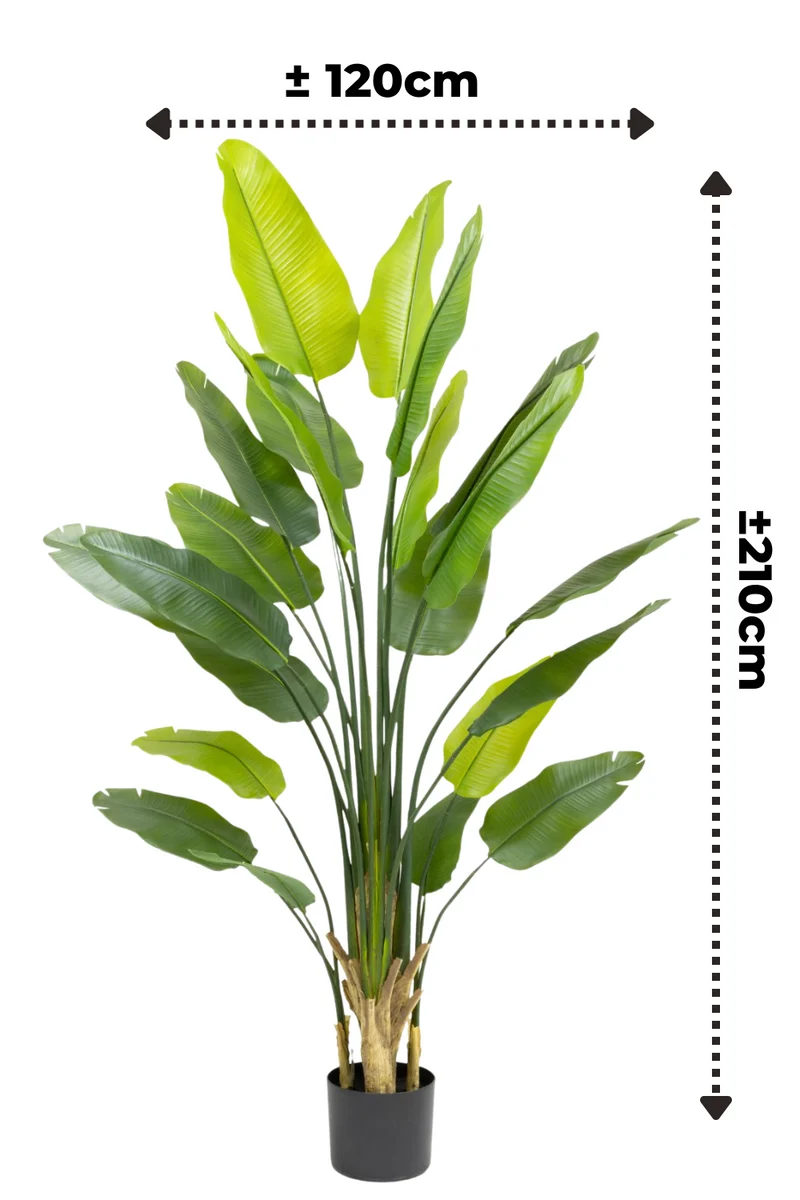 Strelitzie Kunstpflanze 210cm