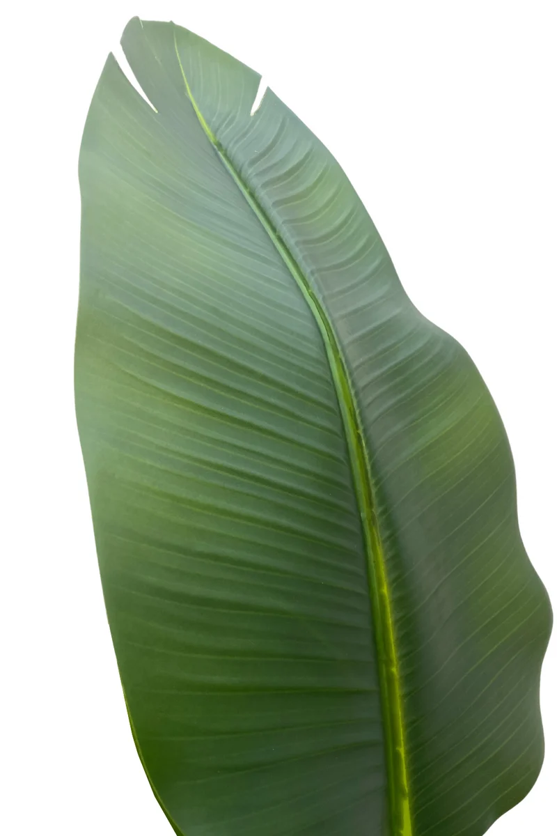 Strelitzie Kunstpflanze 210cm
