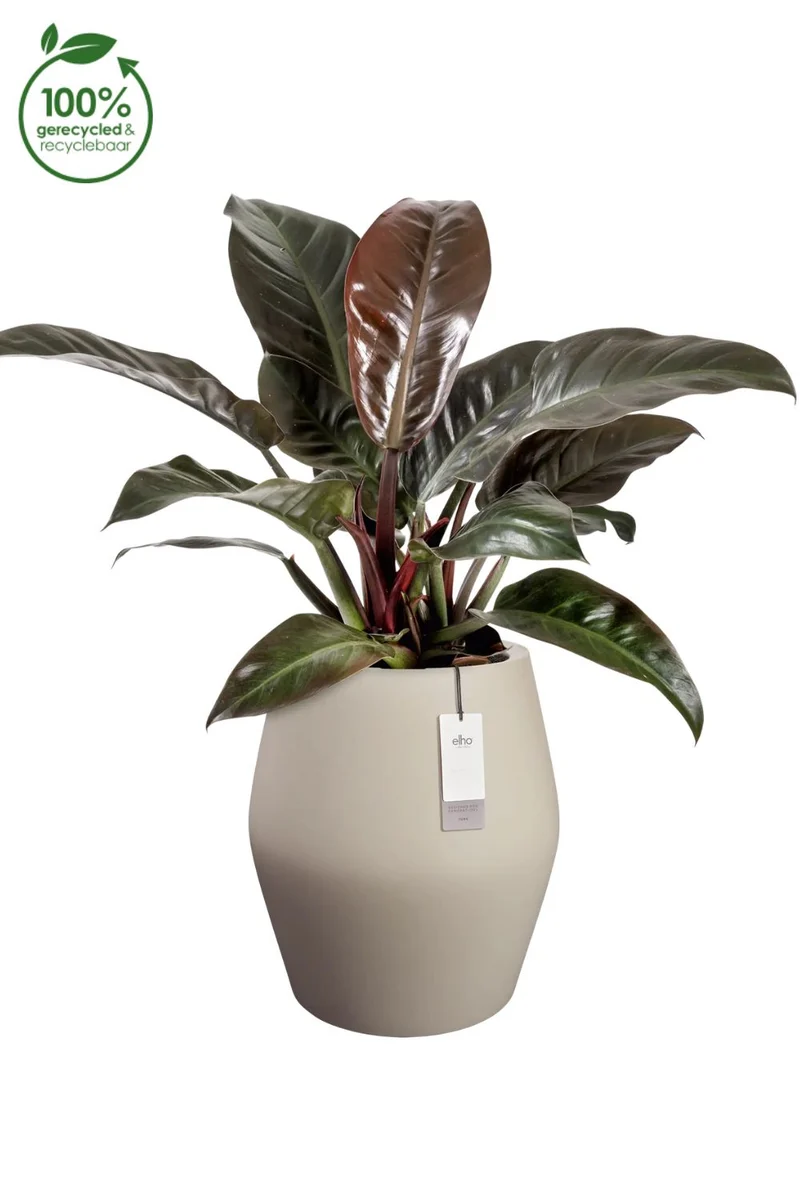 Blumentopf Elho June Split High 53 cm Balanced Beige