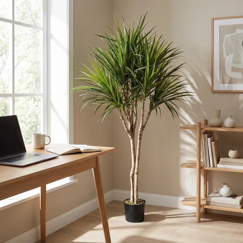 Künstliche Dracaena – Elianor | 180 cm