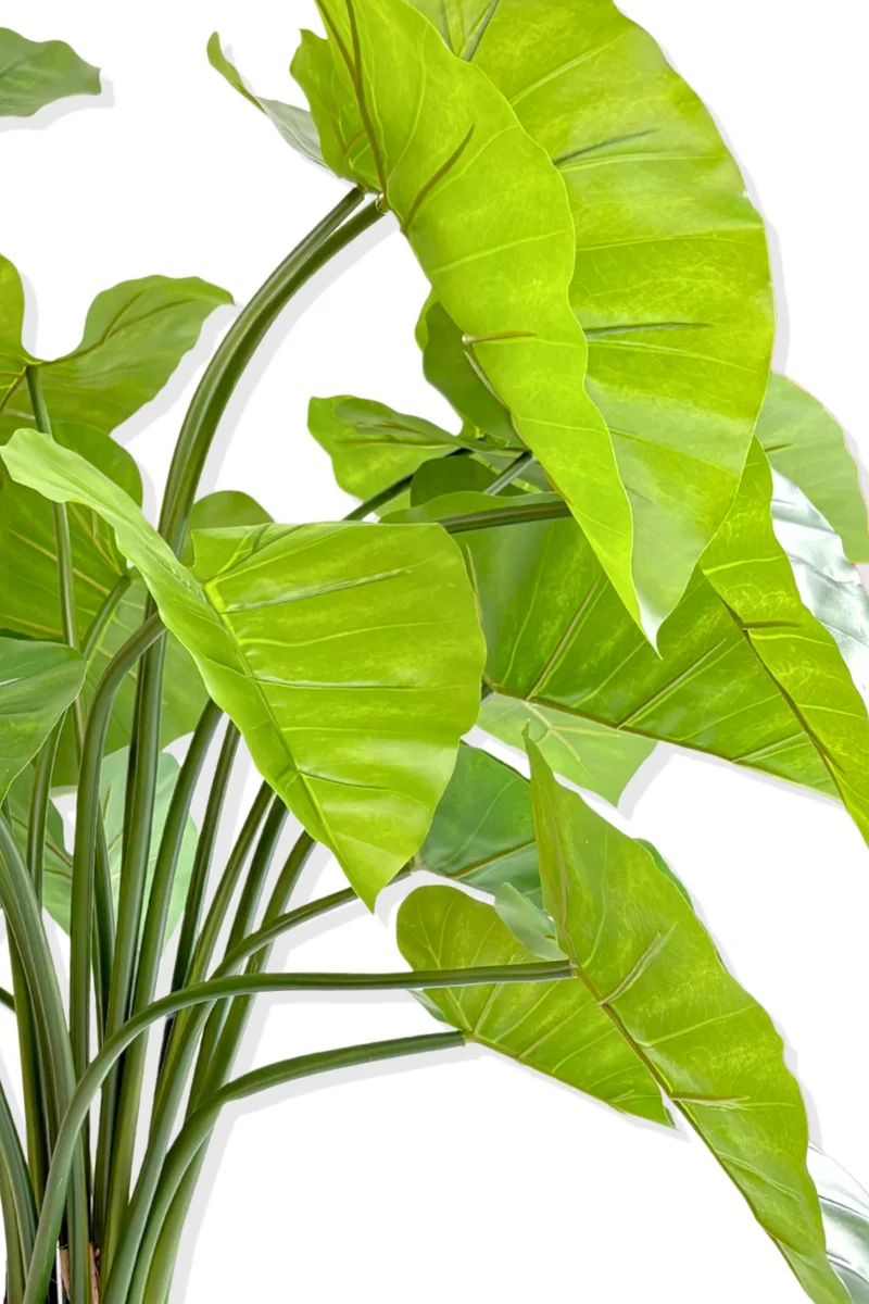Alocasia Kunstpflanze 100cm