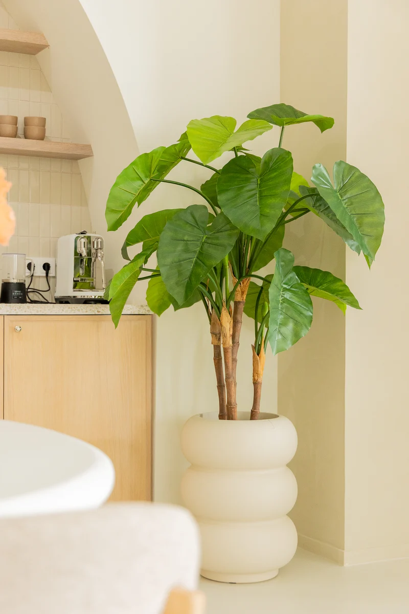 Alocasia Kunstpflanze 140cm