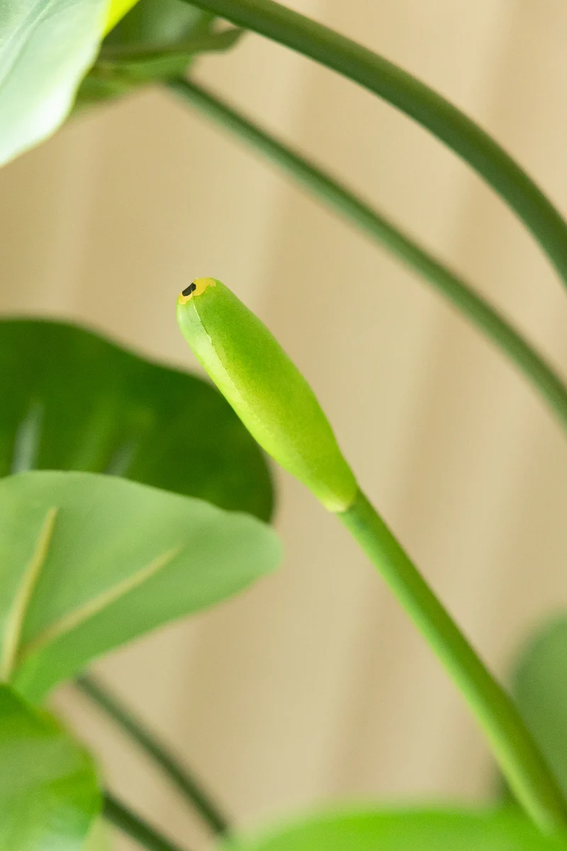 Alocasia Kunstpflanze 165cm