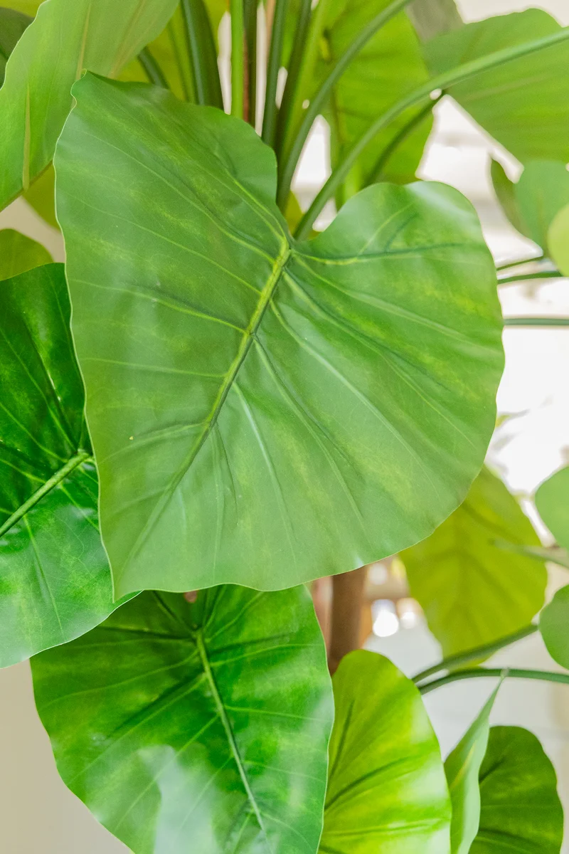 Alocasia Kunstpflanze 165cm