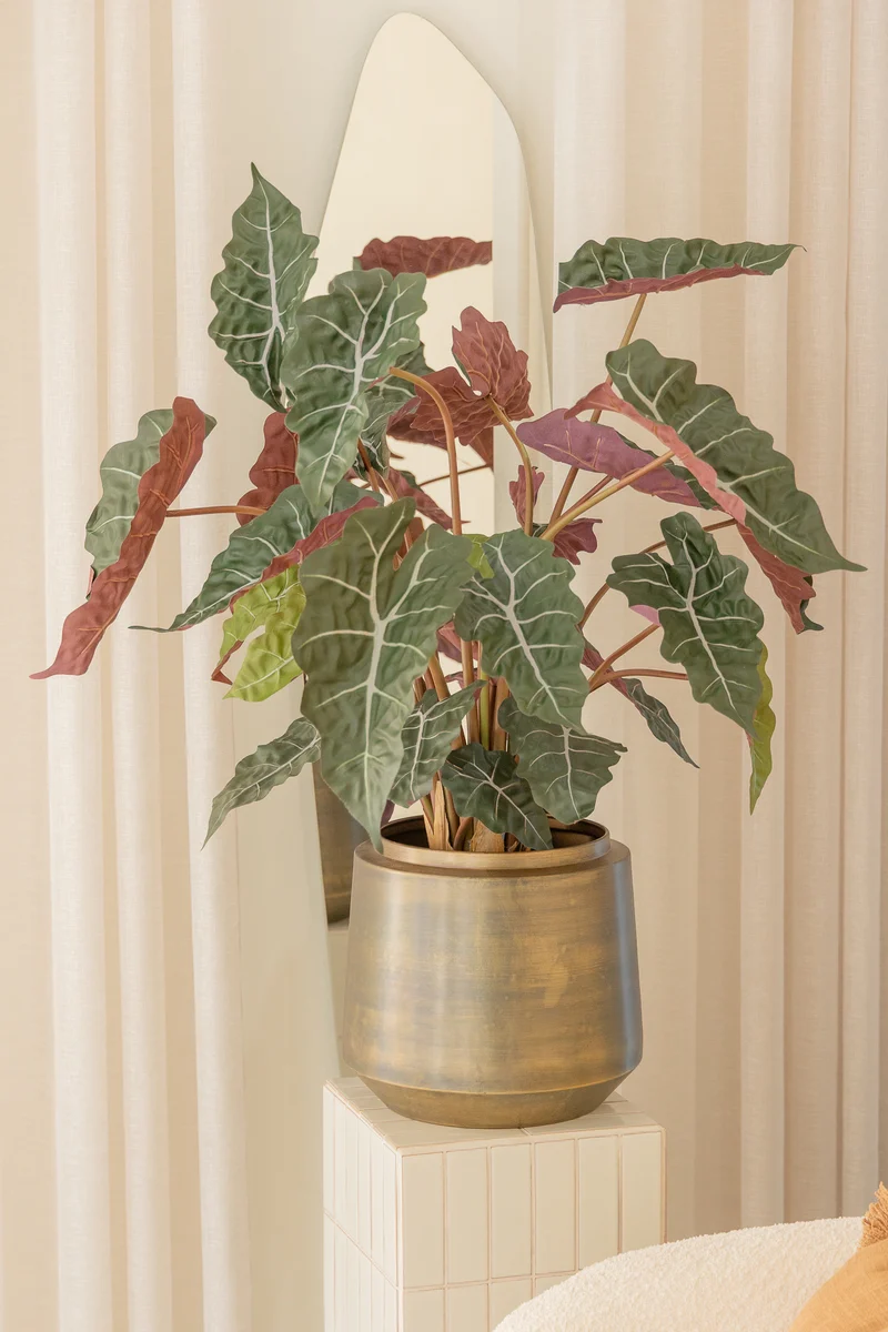 Alocasia Kunstpflanze 80cm
