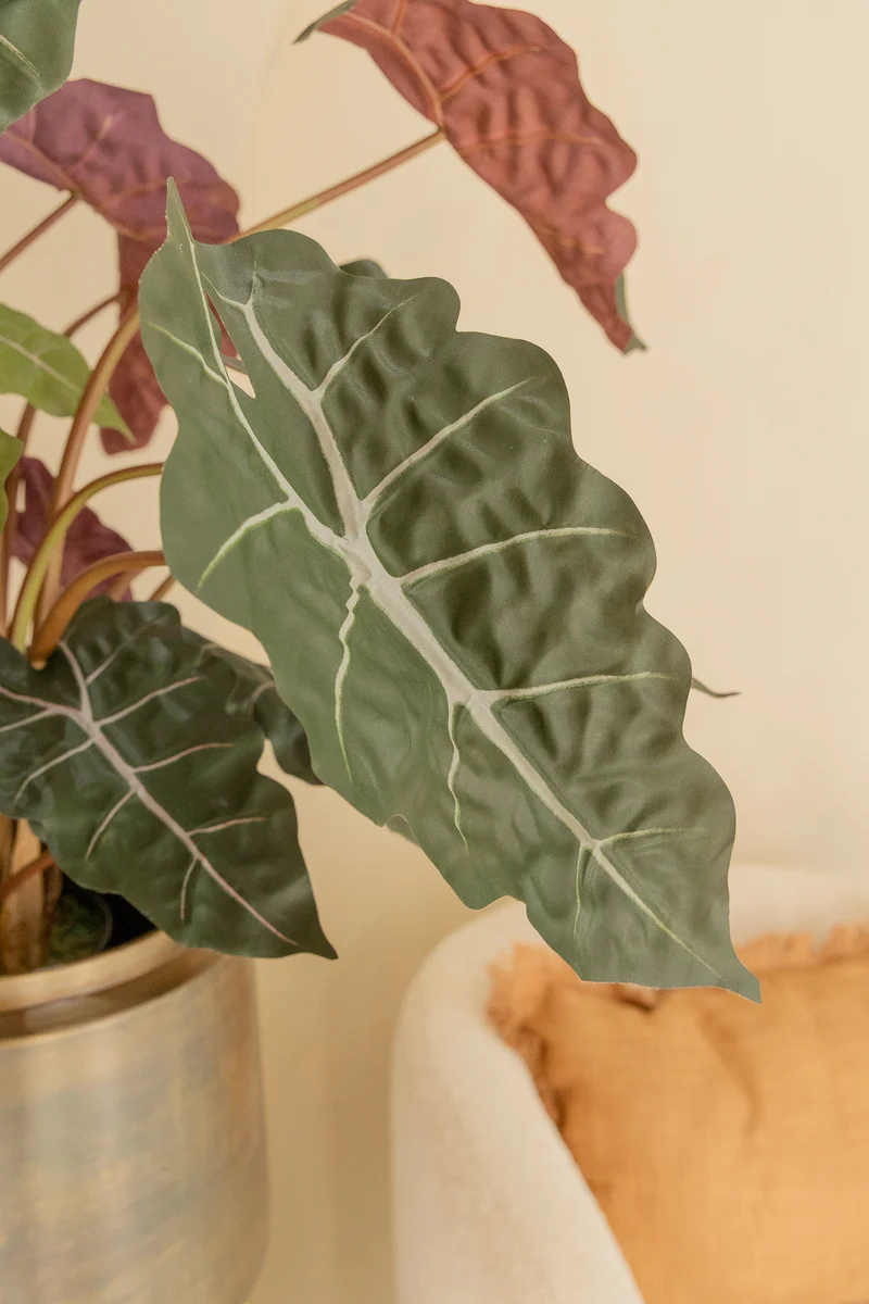 Alocasia Kunstpflanze 80cm