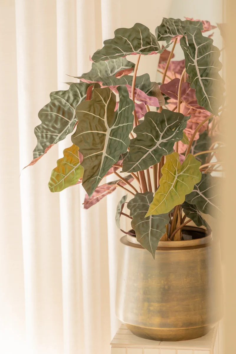 Alocasia Kunstpflanze 80cm