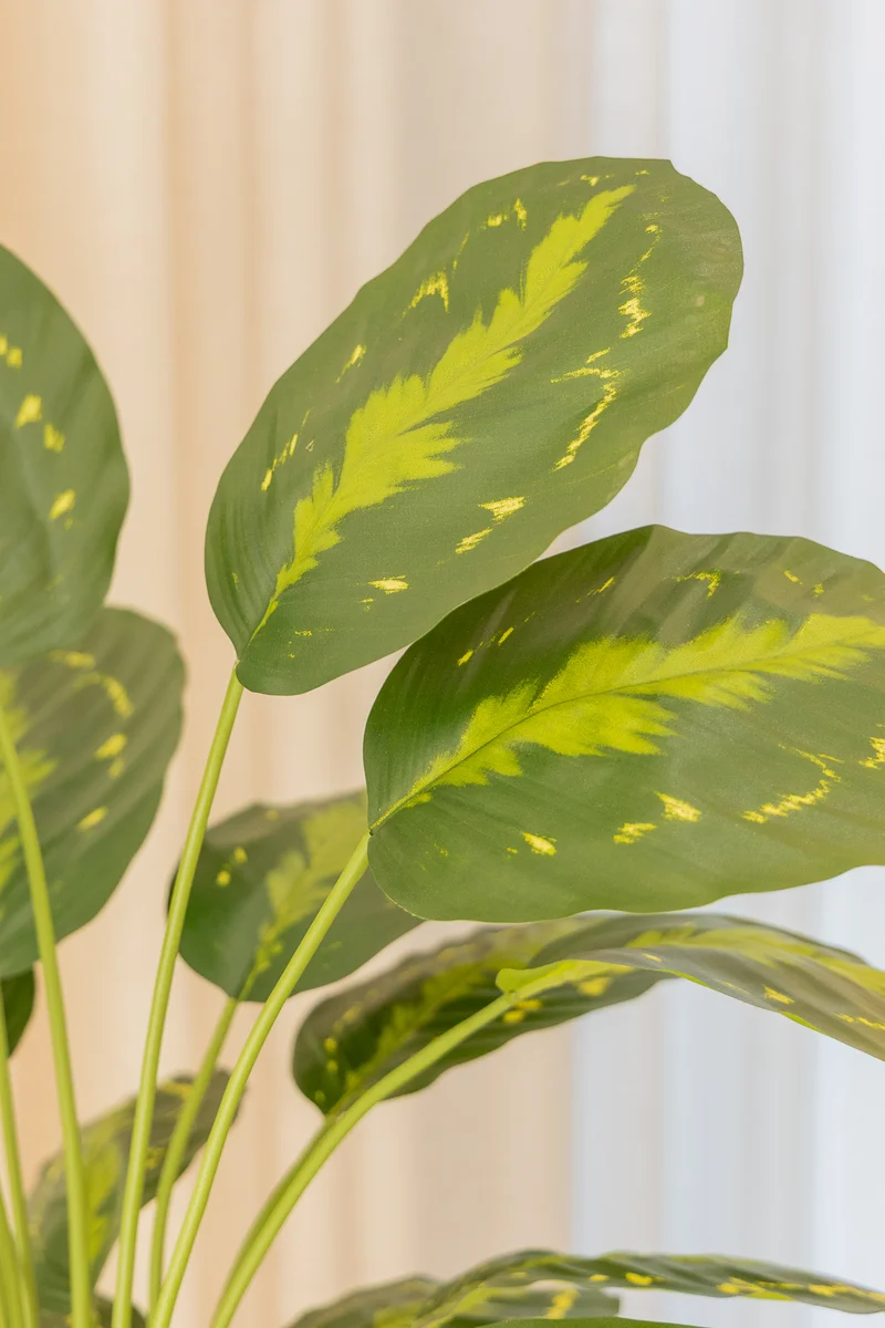 Calathea Kunstpflanze 70cm
