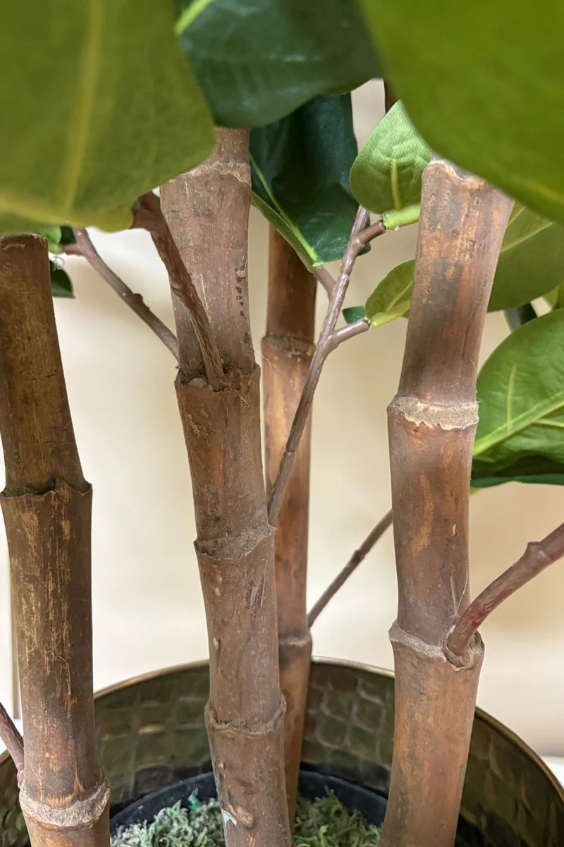 Ficus Kunstpflanze 120cm