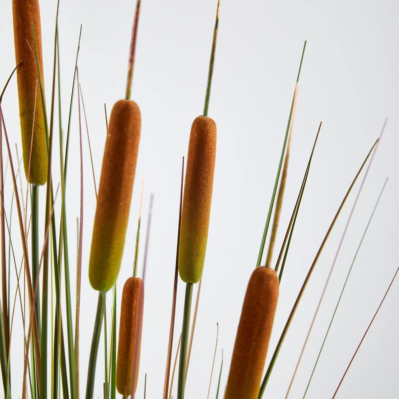 Künstlicher Rohrkolben – Emeric | 120 cm
