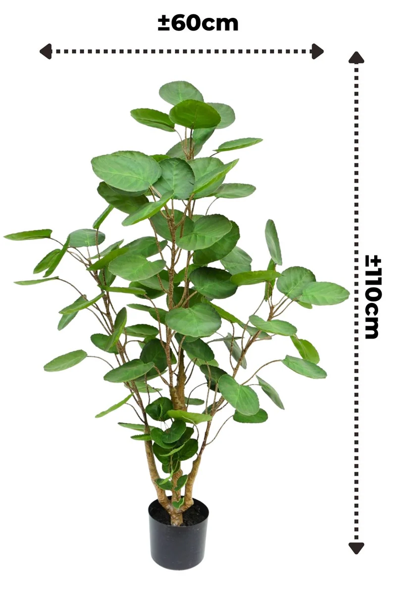 Polyscias Kunstpflanze 110cm