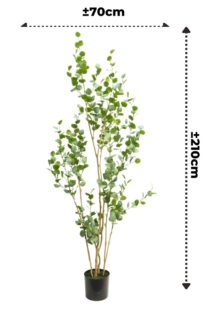 Eukalyptus Kunstpflanze 210cm